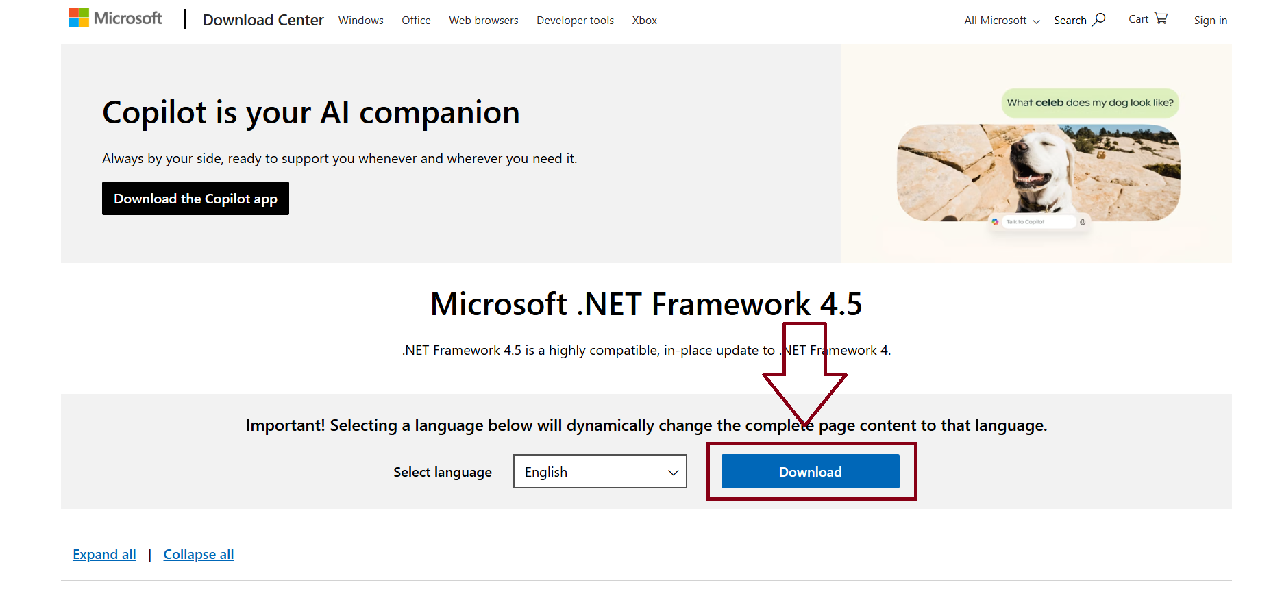 NET Framework Error